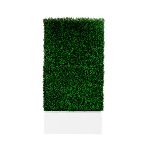 Green Boxwood Wall