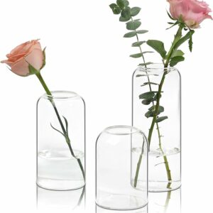 Minimalist Glass Bud Vases